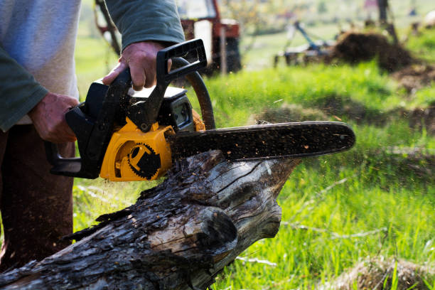 Best Soil Testing and Treatment  in Oakland, TN